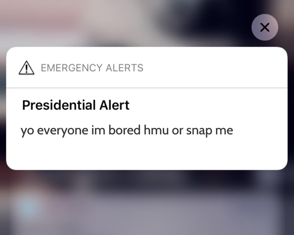 Trump meme of presidential alert text meme - A Emergency Alerts Presidential Alert yo everyone im bored hmu or snap me