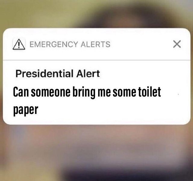 Trump meme of presidential alert group chat meme - A Emergency Alerts Presidential Alert Can someone bring me some toilet paper