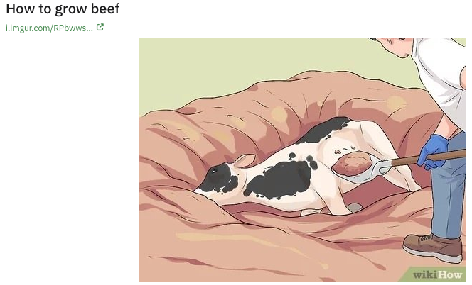 cartoon - How to grow beef i.imgur.comRPbwws... C wiki How