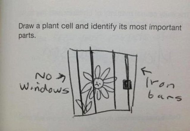 funny kid test answers - Draw a plant cell and identify its most important parts. Nox Windows bars
