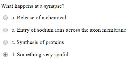 angle - What happens at a synapse? a. Release of a chemical b. Entry of sodium ions across the axon membrane c. Synthesis of proteins d. Something very synful