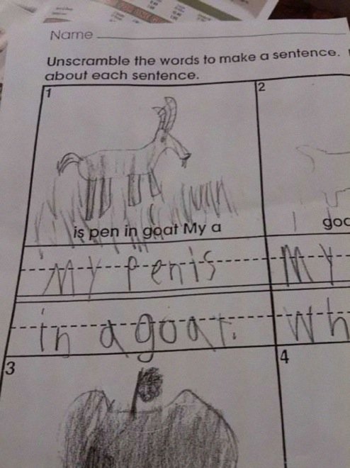 funny kids test answers - Name Unscramble the words to make a sentence. about each sentence. in is pen in goat Mya goc tforts....th4 Ith a goat