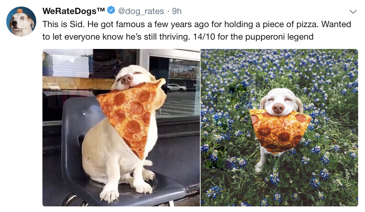 dank meme about pupperoni meme - WeRateDogsTM rates 9h This is Sid. He got famous a few years ago for holding a piece of pizza. Wanted to let everyone know he's still thriving. 1410 for the pupperoni legend