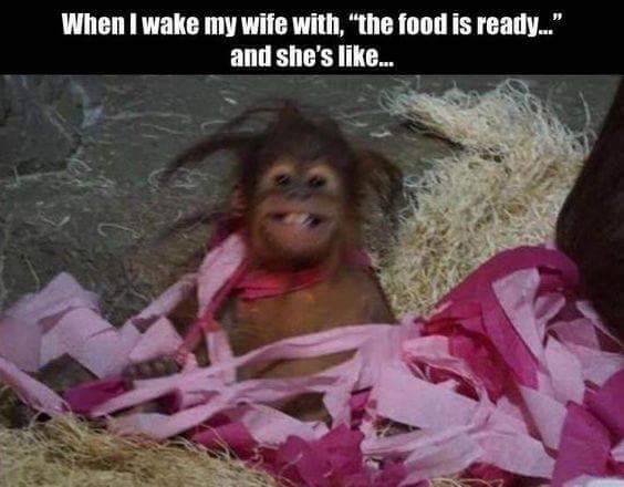 dank meme about monkey wake up meme - When I wake my wife with, "the food is ready..." and she's ...