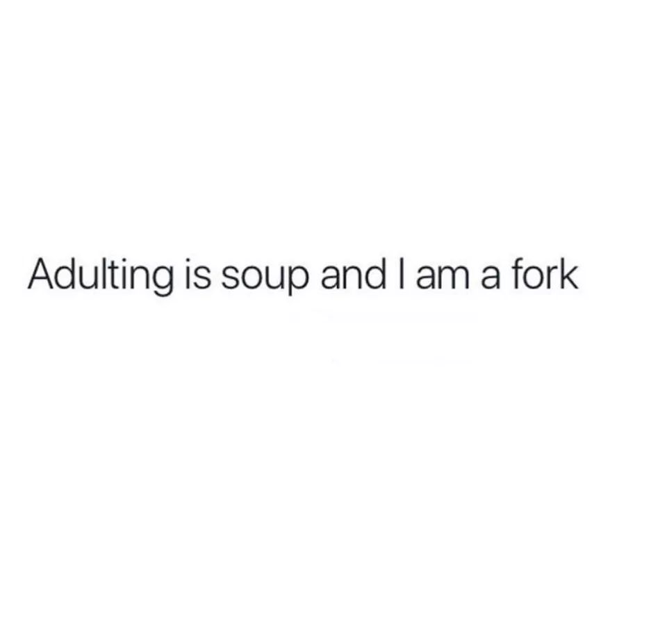 dank meme about angle - Adulting is soup and I am a fork
