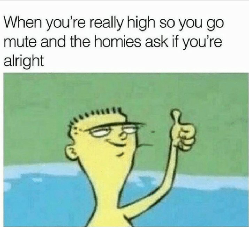 dank meme about ed edd n eddy meme - When you're really high so you go mute and the homies ask if you're alright