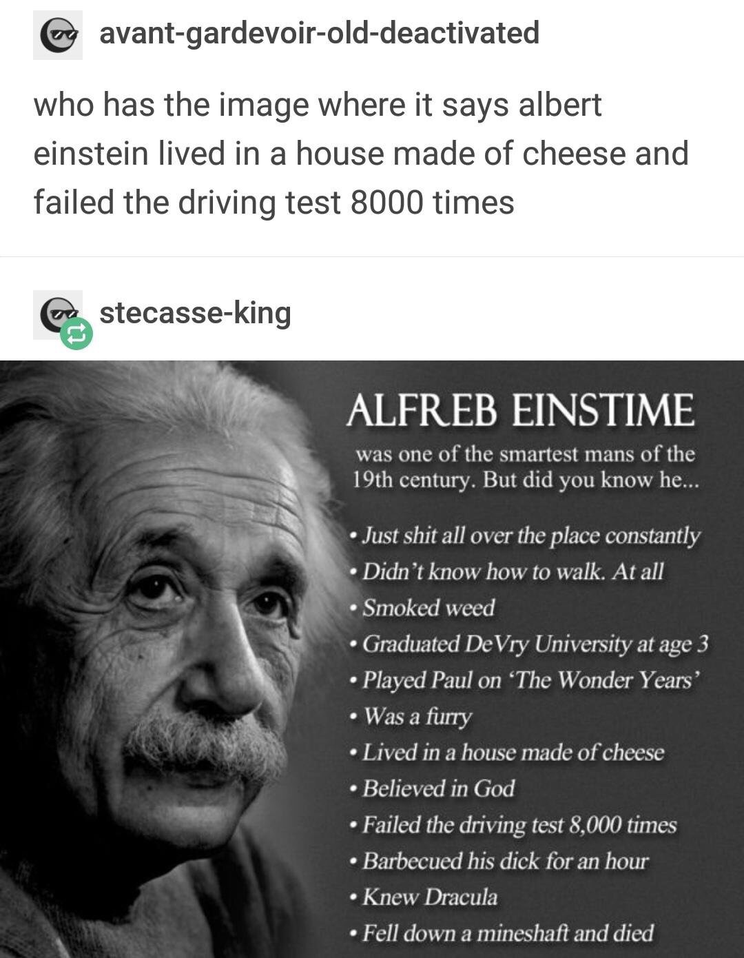 dank meme albert einstein - g avantgardevoirolddeactivated who has the image where it says albert einstein lived in a house made of cheese and failed the driving test 8000 times Castecasseking Alfreb Einstime was one of the smartest mans of the 19th centu