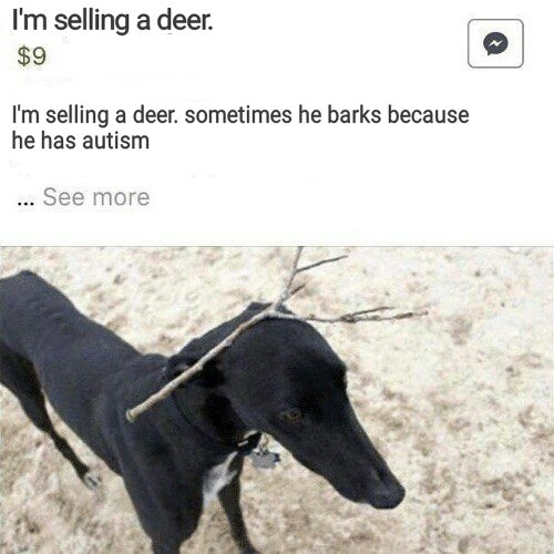 dank meme selling deer sometimes he barks - I'm selling a deer. $9 I'm selling a deer. sometimes he barks because he has autism ... See more