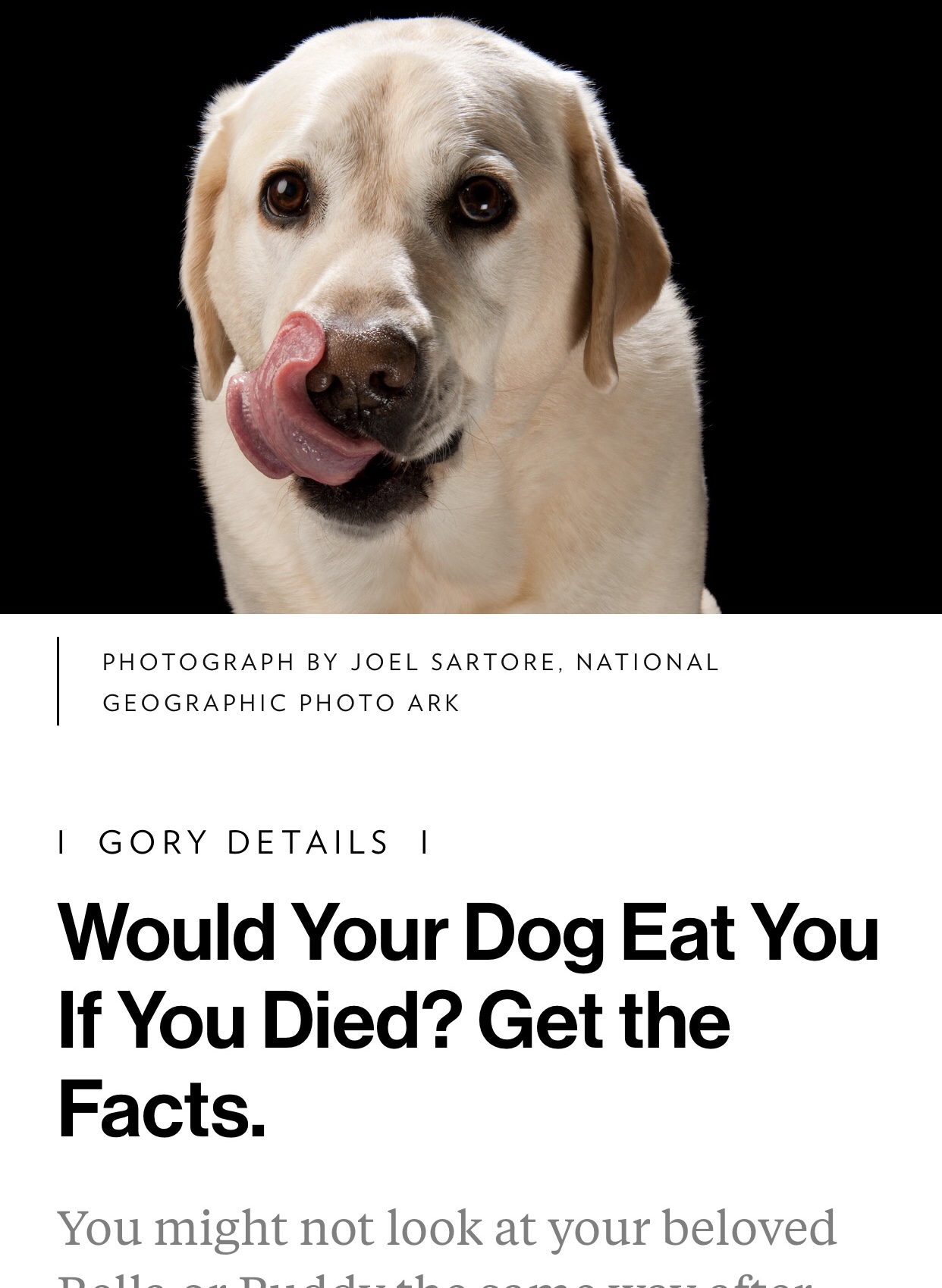 dank meme would your dog eat you - Photograph By Joel Sartore, National Geographic Photo Ark | Gory Details || Would Your Dog Eat You If You Died? Get the Facts. You might not look at your beloved