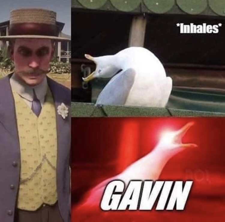 dank memes - seagull inhale meme - Inhales Gavin