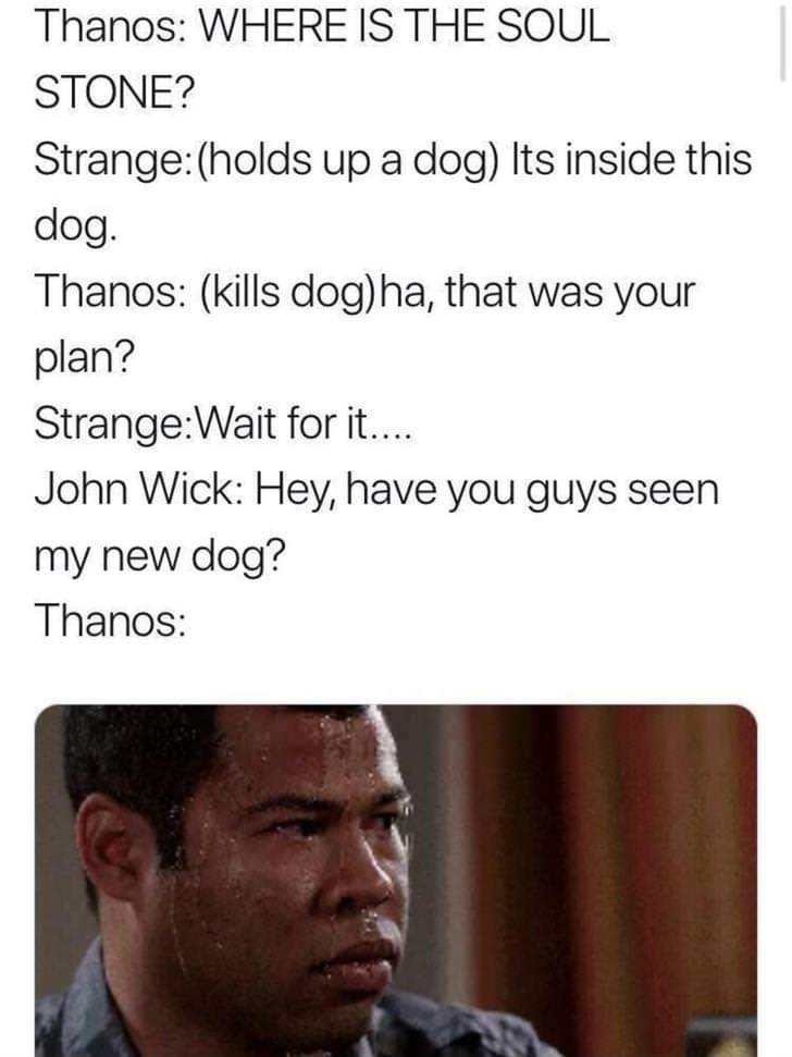dank meme about john wick dog meme thanos - Thanos Where Is The Soul Stone? Strangeholds up a dog Its inside this dog. Thanos kills dogha, that was your plan? StrangeWait for it.... John Wick Hey, have you guys seen my new dog? Thanos