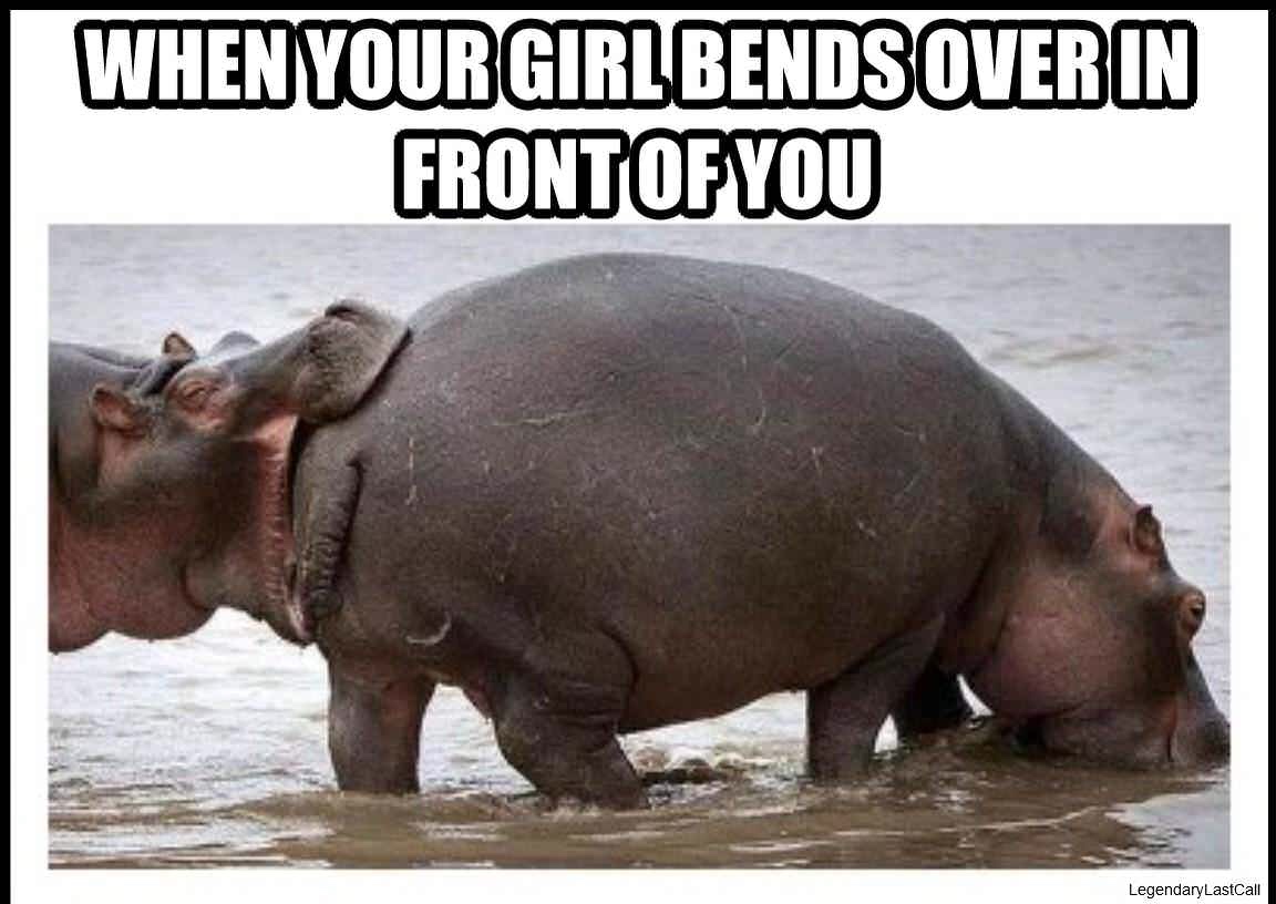 dank meme about bae comes out of the shower looking like a snack - When Your Girl Bends Over In Front Of You LegendaryLastCall