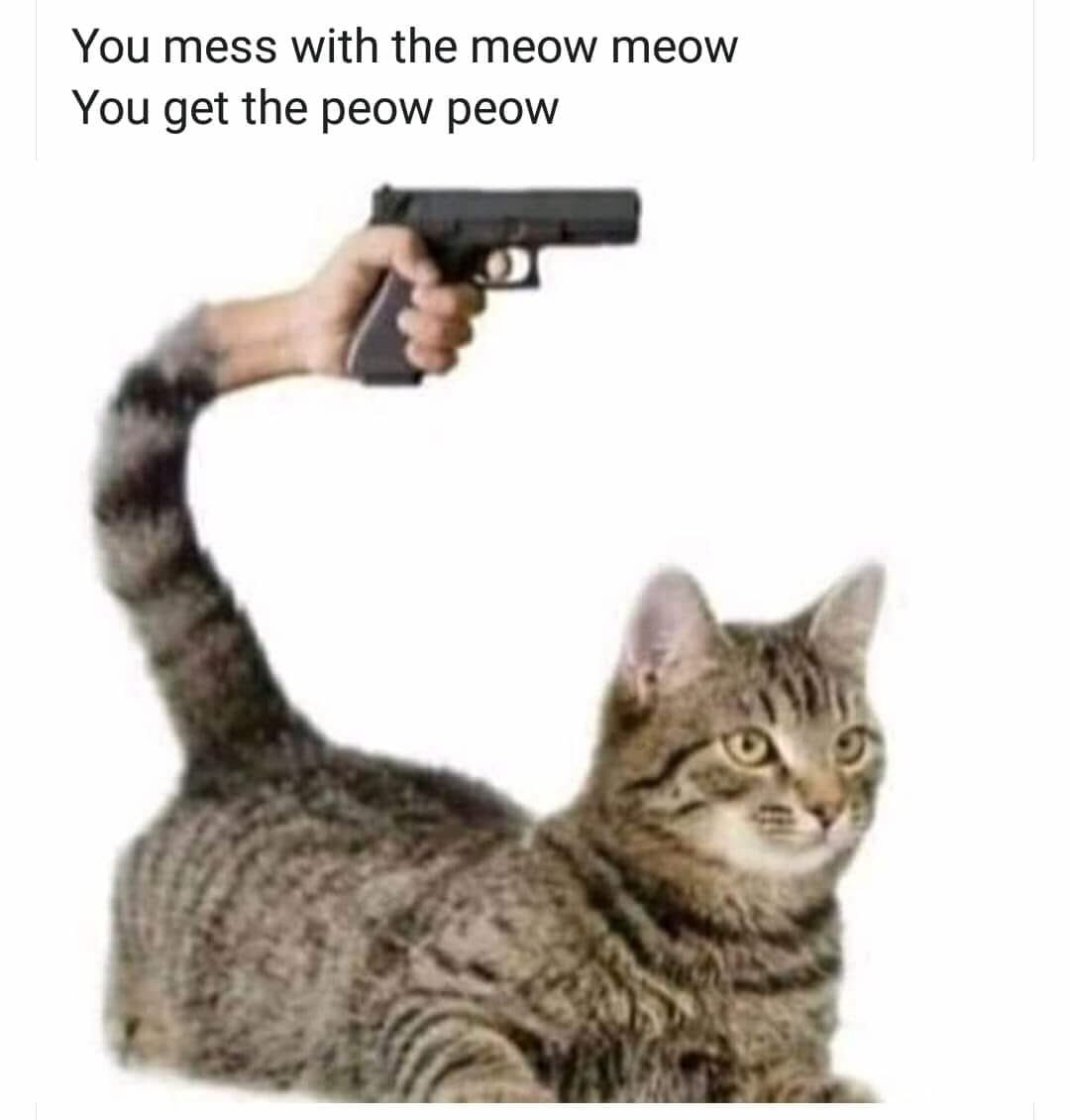 dank meme about you mess with the meow meow - You mess with the meow meow You get the peow peow