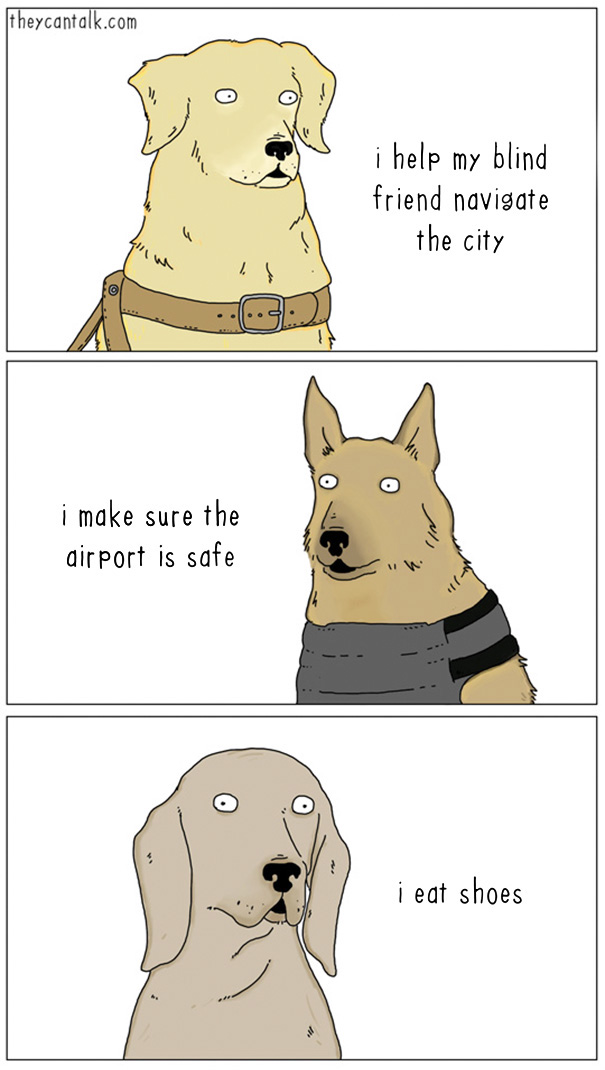 dank meme about dog funny comic - theycantalk.com i help my blind friend navigate the city i make sure the airport is safe i eat shoes