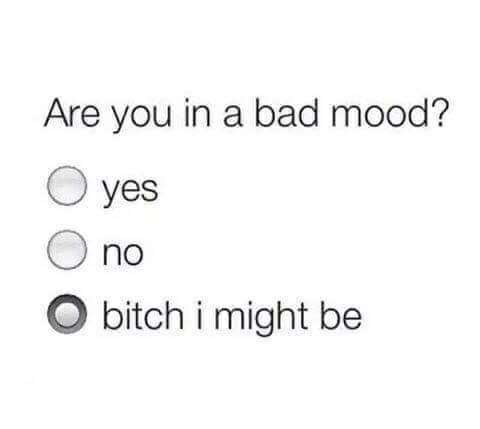 dank meme about mood quotes - Are you in a bad mood? O yes O no O bitch i might be