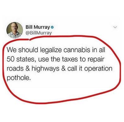 dank meme about point - Bill Murray Murray We should legalize cannabis in all 50 states, use the taxes to repair roads & highways & call it operation pothole.