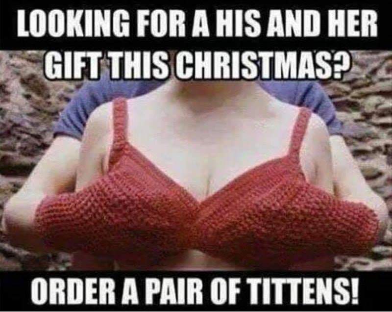 dank meme about christmas list meme - Looking For A His And Her Gift This Christmas? Order A Pair Of Tittens!