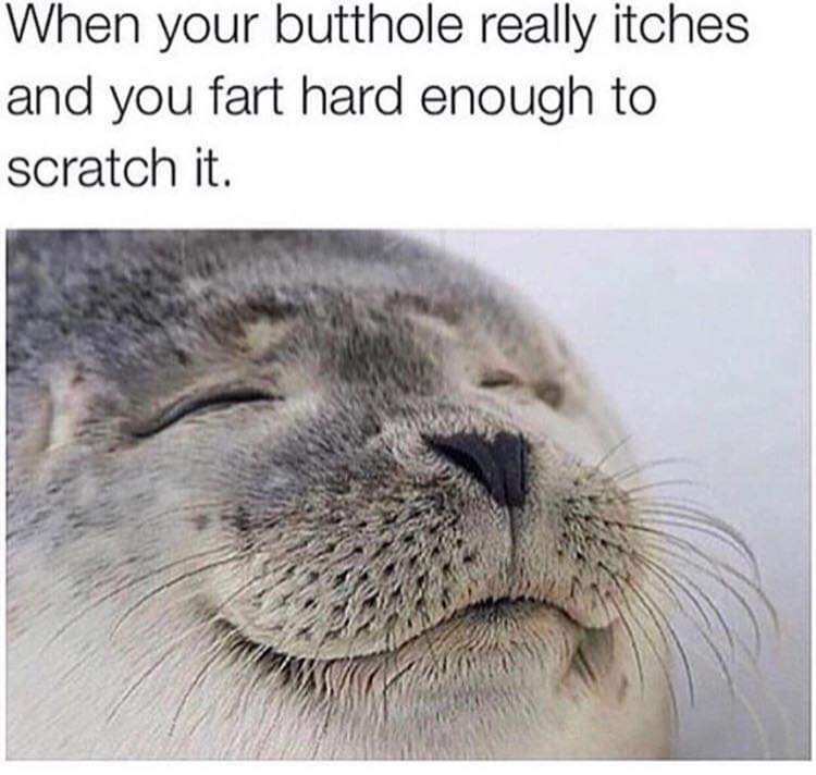 dank meme about you fart and it scratches - When your butthole really itches and you fart hard enough to scratch it.