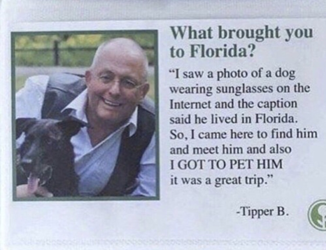 meme - hilarious florida - What brought you to Florida?