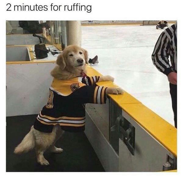 memes-  2 minutes for ruffing - 2 minutes for ruffing