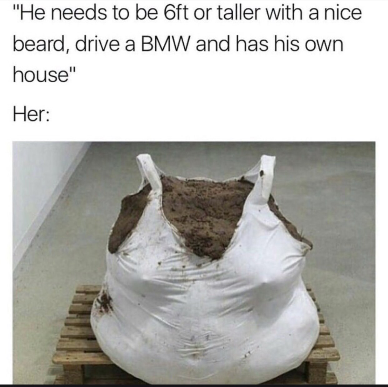 memes-  he has to be 6ft meme - "He needs to be oft or taller with a nice beard, drive a Bmw and has his own house" Her