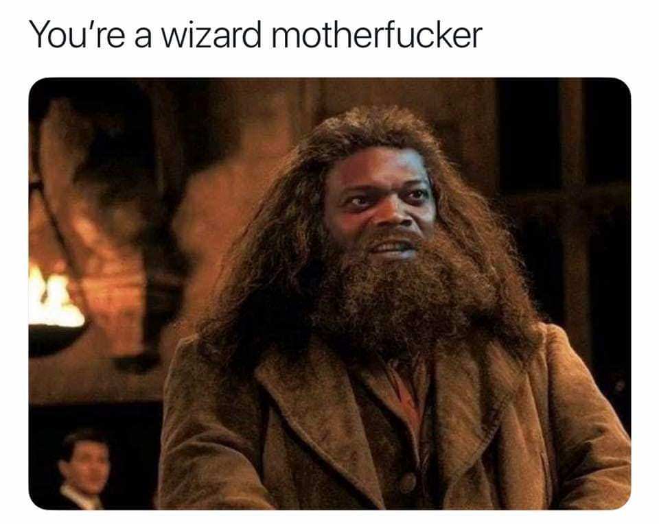 memes-  you re a wizard motherfucker - You're a wizard motherfucker