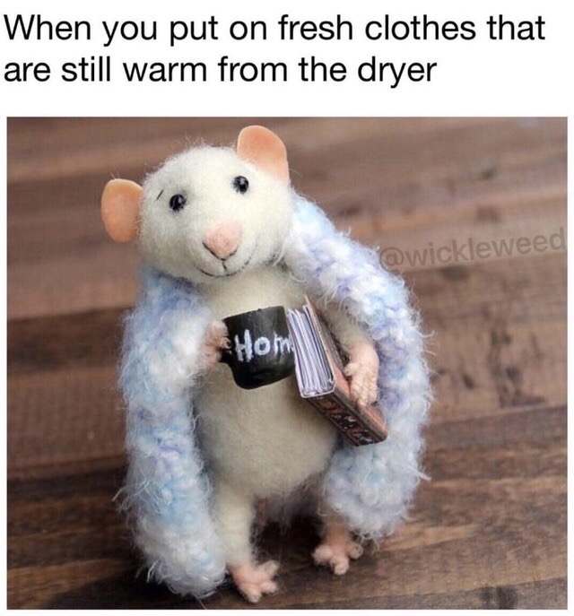 warm clothes meme - When you put on fresh clothes that are still warm from the dryer Hom