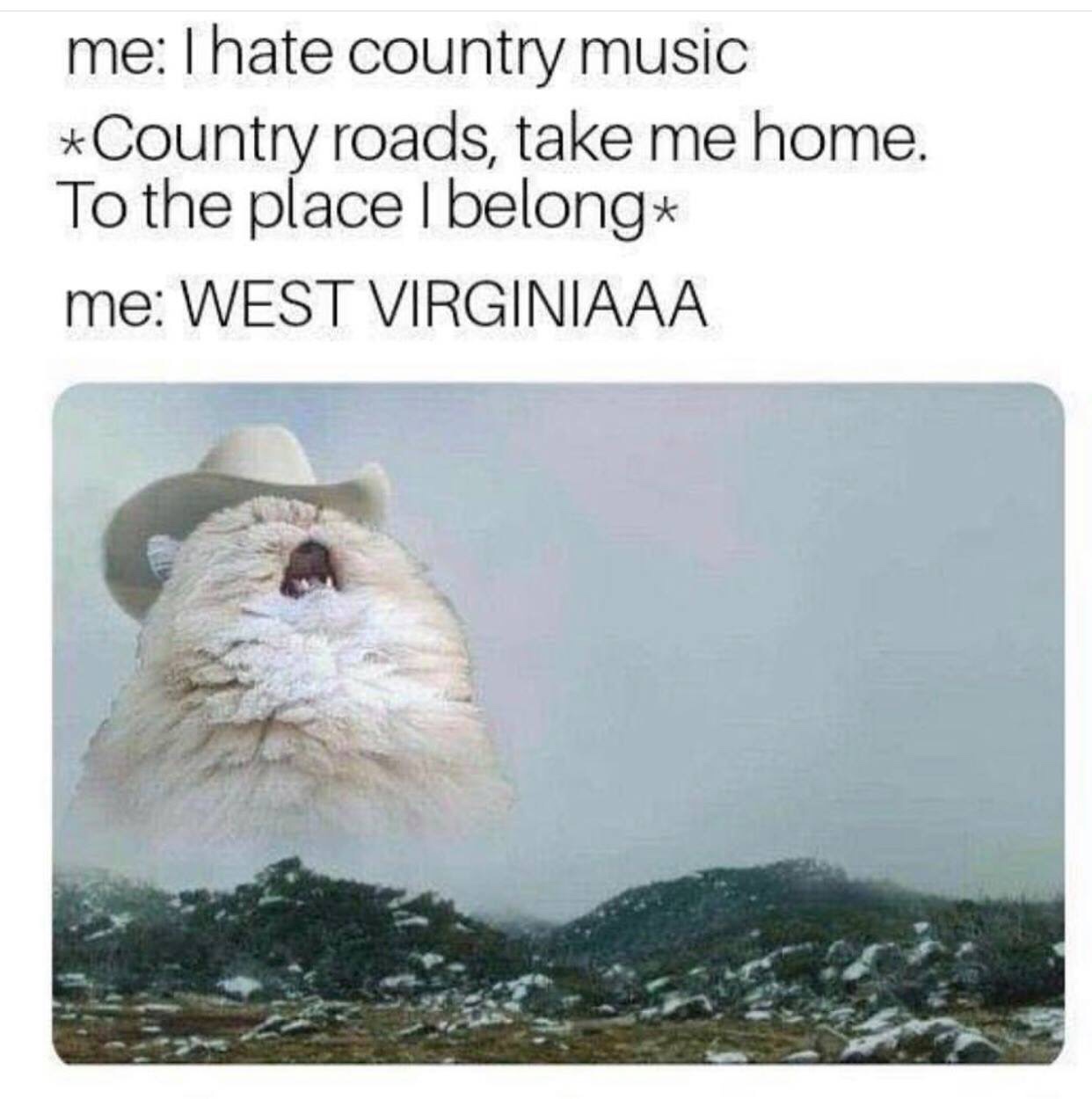 memes - hate country music meme - me Thate country music Country roads, take me home. To the place I belong me West Virginiaaa