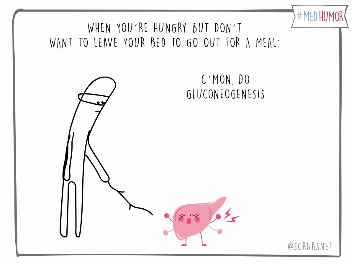 memes - cartoon - # Med Humor When You'Re Hungry But Don'T Want To Leave Your Bed To Go Out For A Meal C'Mon. Do Gluconeogenesis Net
