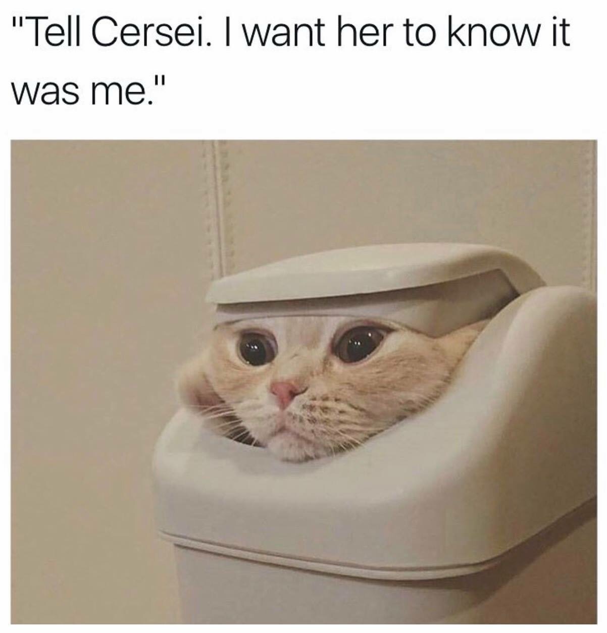 memes - tell cersei i want her to know - "Tell Cersei. I want her to know it was me."