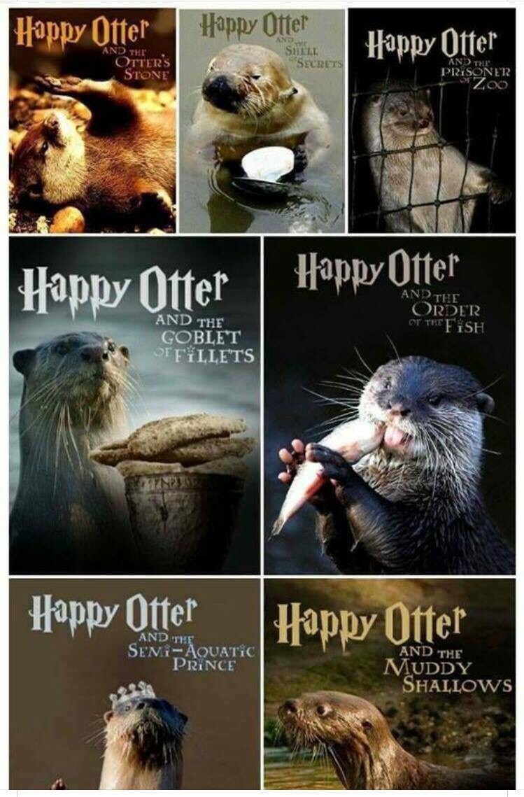 memes - harry potter otter - Happy Otter Happy Ottet Happy Otter And The Otter'S Stone Shill Secrets In The Prisoner Zoo Happy Otter HappyOtter And The Order Ot Teefsh And The Goblet Offillet'S Happy Otter Happy Otter And The Se'NiAquatic Prince And The M