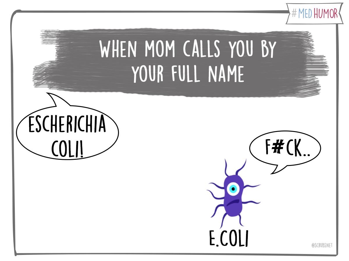 memes - cartoon - # Med Humor When Mom Calls You By Your Full Name Escherichia Colil F.. E.Coli