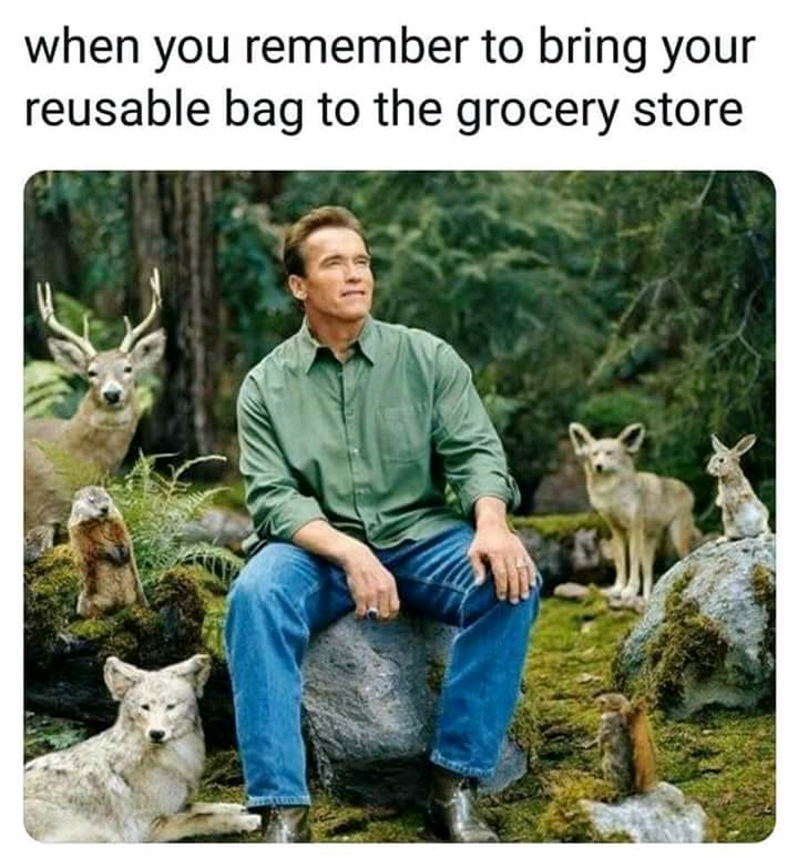 reusable bag meme - when you remember to bring your reusable bag to the grocery store