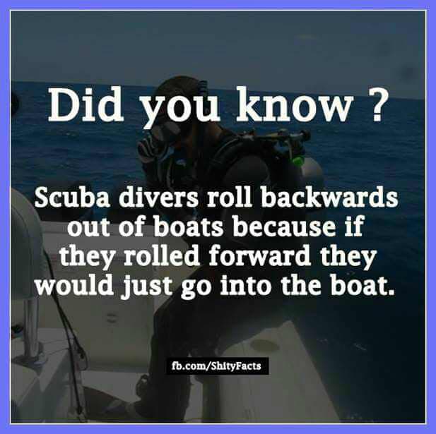 memes - more you know sarcastic - Did you know? Scuba divers roll backwards out of boats because if they rolled forward they would just go into the boat. fb.comShityFacts