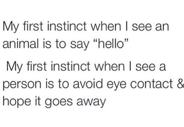 memes - savage tumblr text posts - My first instinct when I see an animal is to say "hello" My first instinct when I see a person is to avoid eye contact & hope it goes away