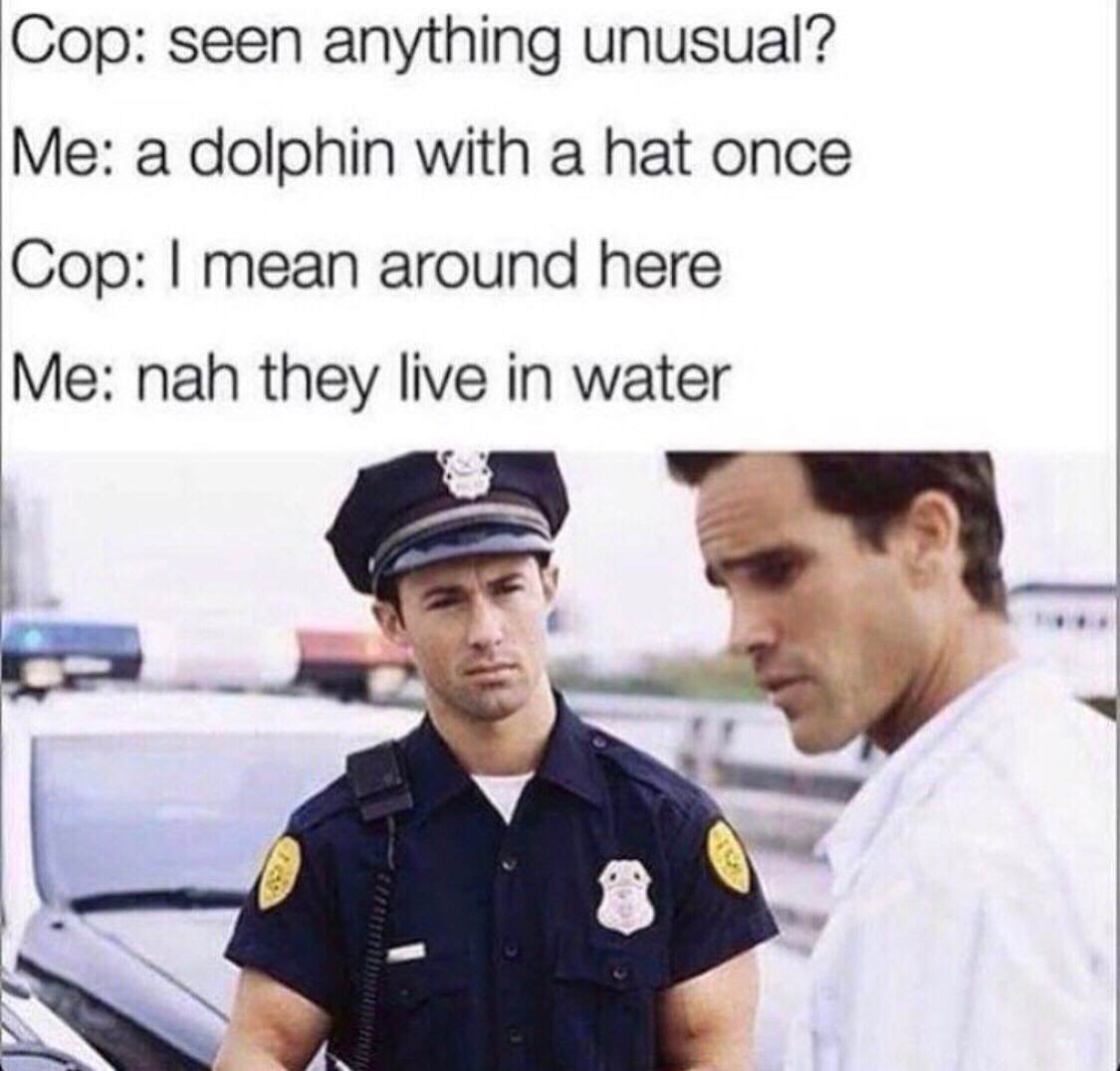 memes - seen anything unusual meme - Cop seen anything unusual? Me a dolphin with a hat once Cop I mean around here Me nah they live in water