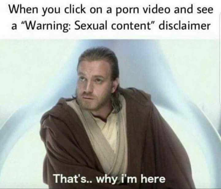 memes - obi wan that's why i m here gif - When you click on a porn video and see a "Warning Sexual content" disclaimer That's.. why i'm here