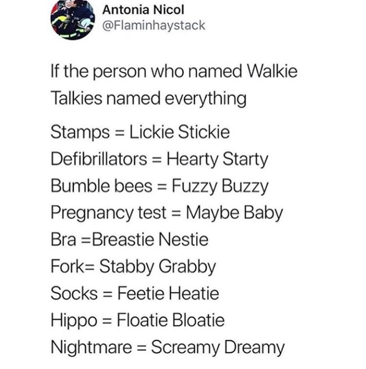 memes - maybe baby meme - Antonia Nicol If the person who named Walkie Talkies named everything Stamps Lickie Stickie Defibrillators Hearty Starty Bumble bees Fuzzy Buzzy Pregnancy test Maybe Baby Bra Breastie Nestie Fork Stabby Grabby Socks Feetie Heatie