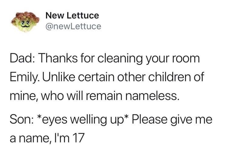 memes - shall remain nameless meme - New Lettuce Dad Thanks for cleaning your room Emily. Un certain other children of mine, who will remain nameless. Son eyes welling up Please give me a name, I'm 17