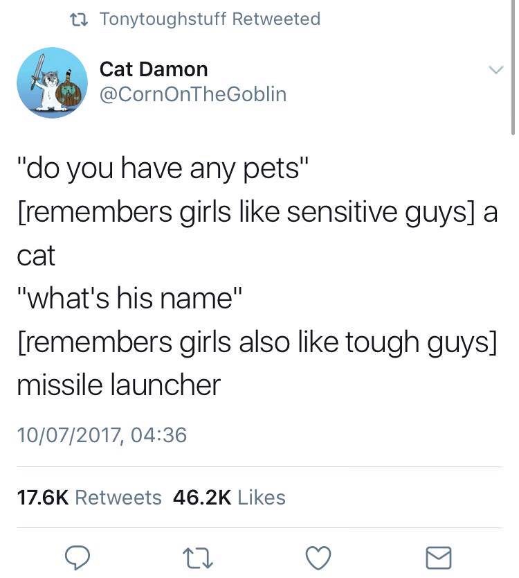memes - angle - t2 Tonytoughstuff Retweeted Cat Damon "do you have any pets" remembers girls sensitive guys a cat "what's his name" remembers girls also tough guys missile launcher 10072017,
