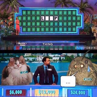 dank memes - best moth memes - Thing E Stoopidmayne Cat Moth $6,000 913,000 $24,000