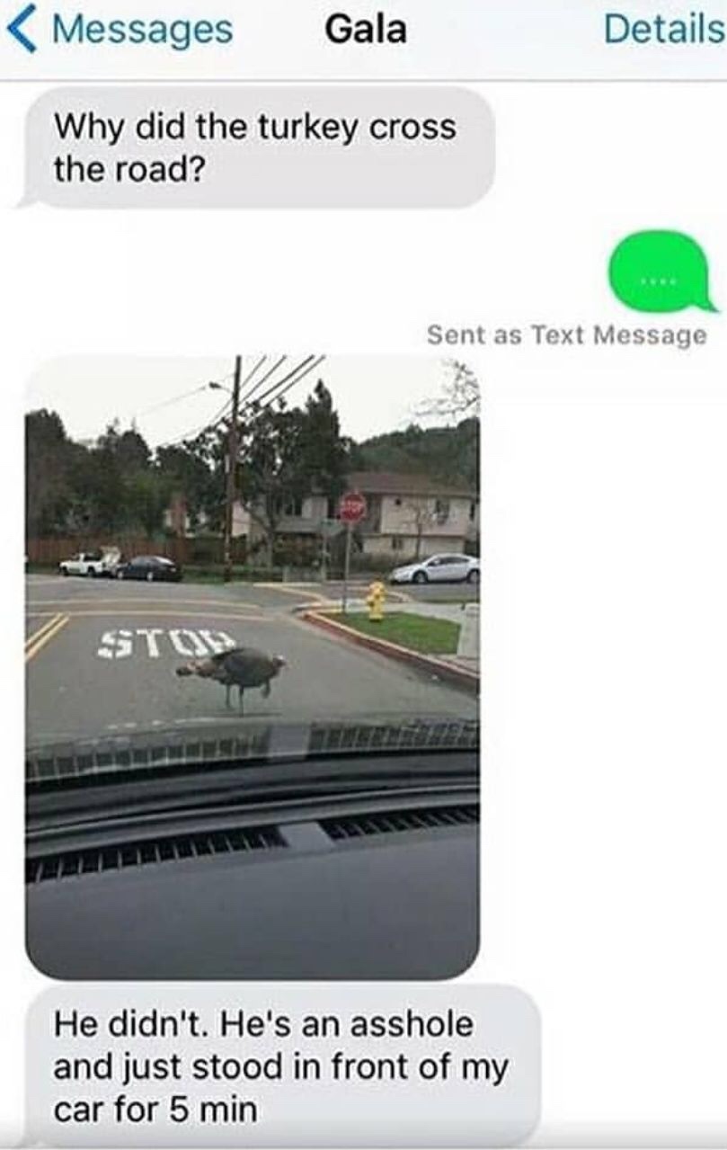 dank memes - did the turkey cross the road -