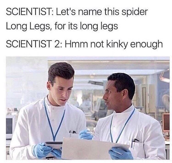 naming daddy long legs meme - Scientist Let's name this spider Long Legs, for its long legs Scientist 2 Hmm not kinky enough Jdt