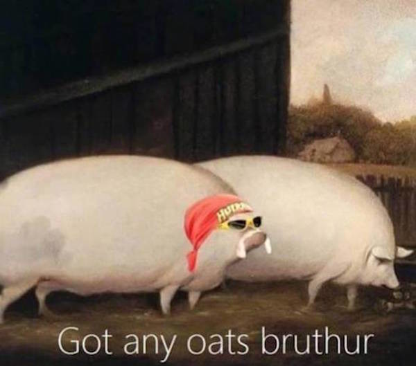 brother may i have some oats - Got any oats bruthur