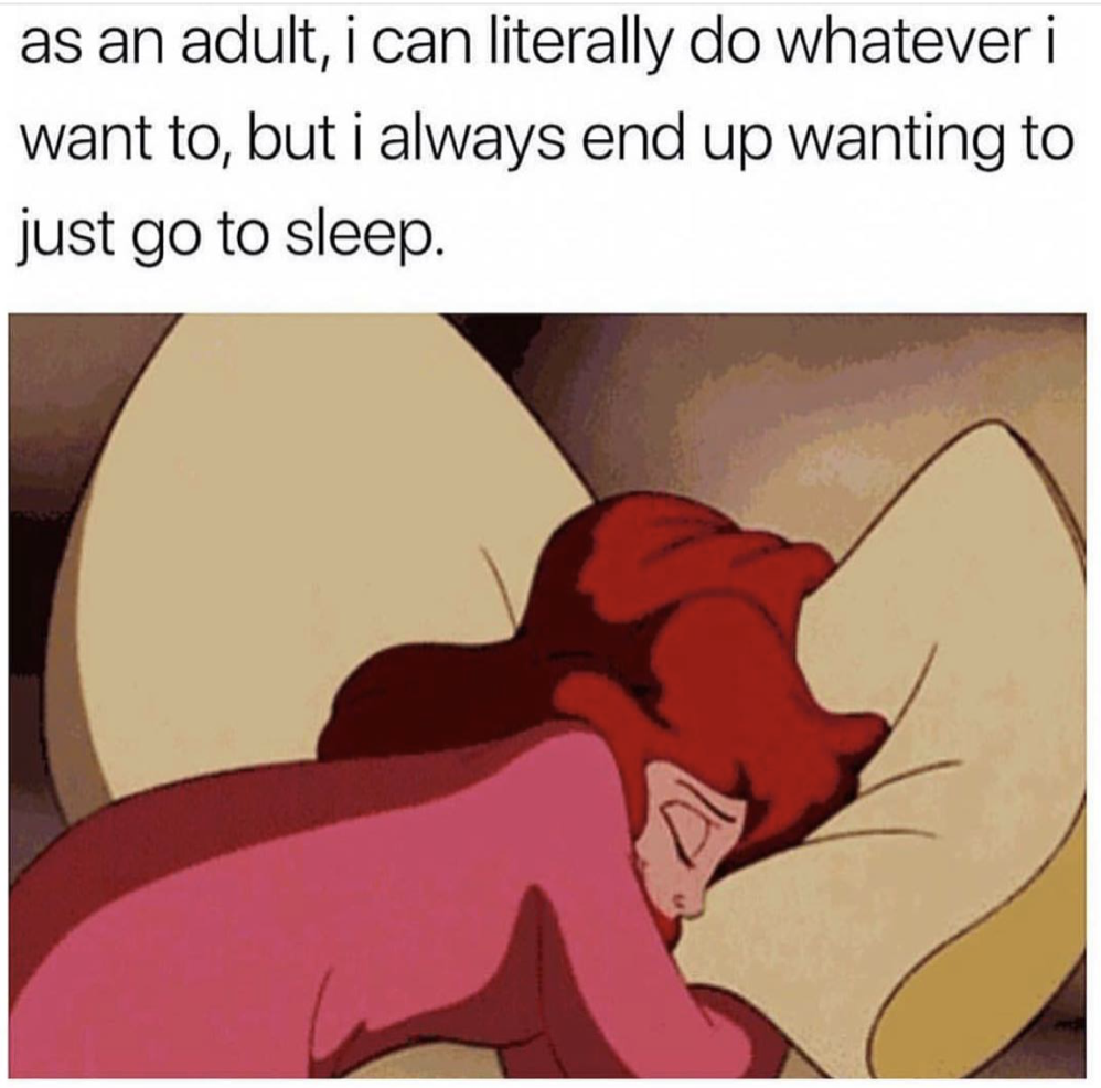 meme adult sleep - as an adult, i can literally do whatever i want to, but i always end up wanting to just go to sleep.