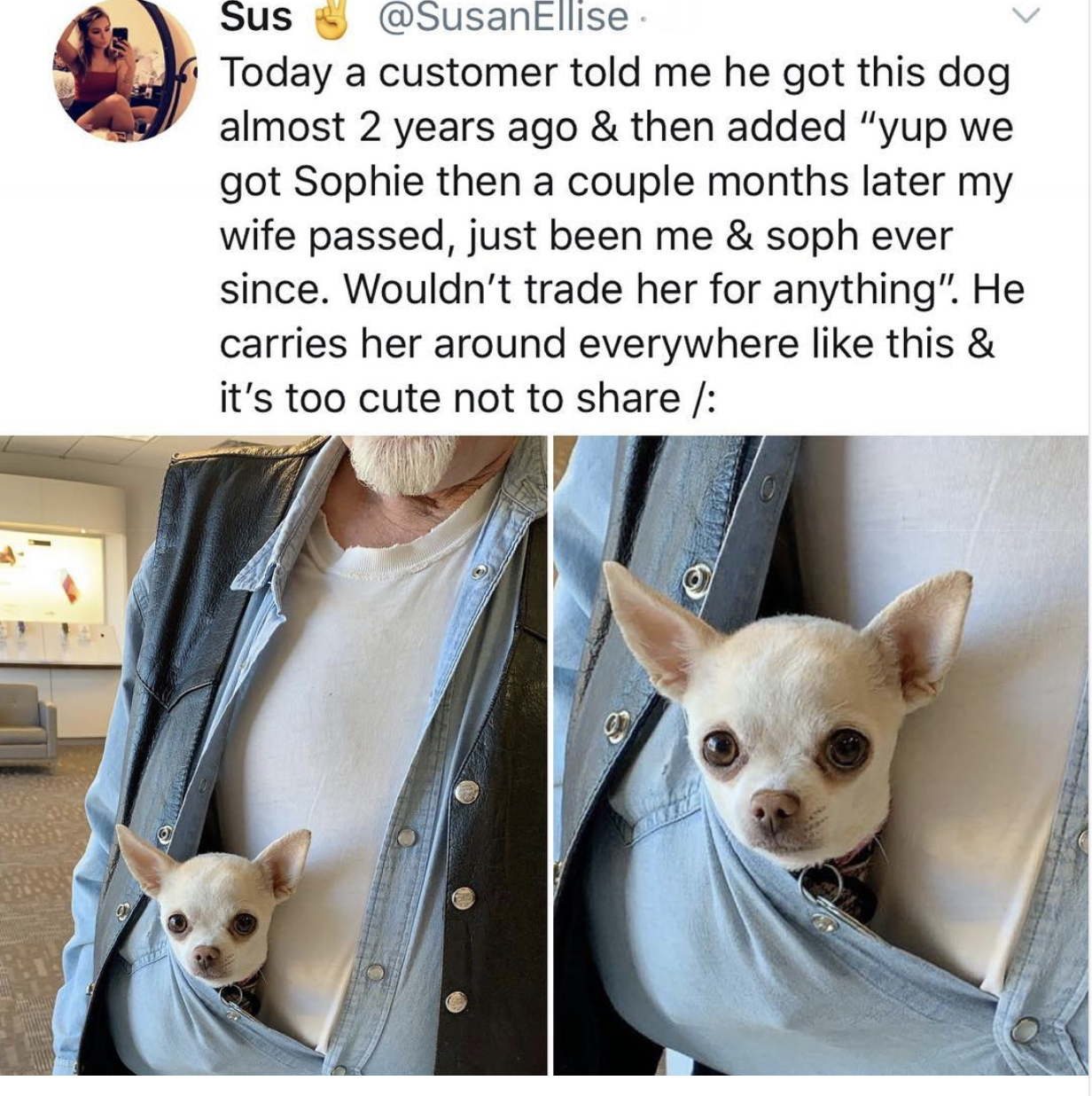 photo caption - Sus Ellise Today a customer told me he got this dog almost 2 years ago & then added "yup we got Sophie then a couple months later my wife passed, just been me & soph ever since. Wouldn't trade her for anything". He carries her around every