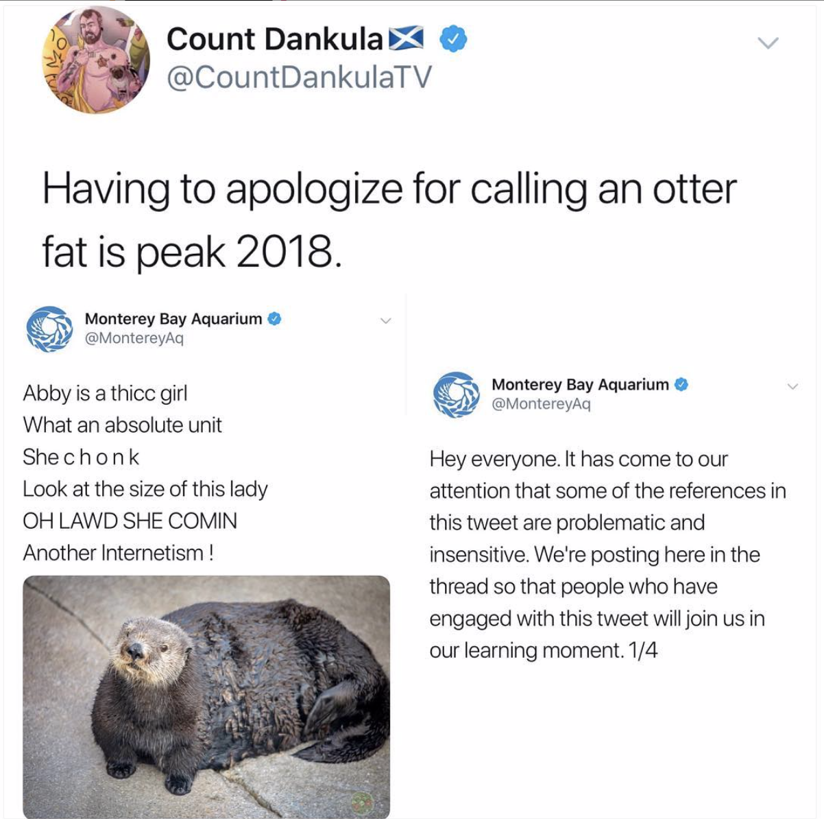 monterey bay aquarium abby - Count Dankula Having to apologize for calling an otter fat is peak 2018 Monterey Bay Aquarium Montereyag Y Monterey Bay Aquarium Monterey Abby is a thicc girl What an absolute unit Shechonk Look at the size of this lady Oh Law