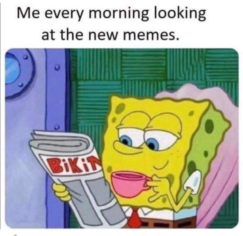 bob esponja leyendo el periodico - Me every morning looking at the new memes.