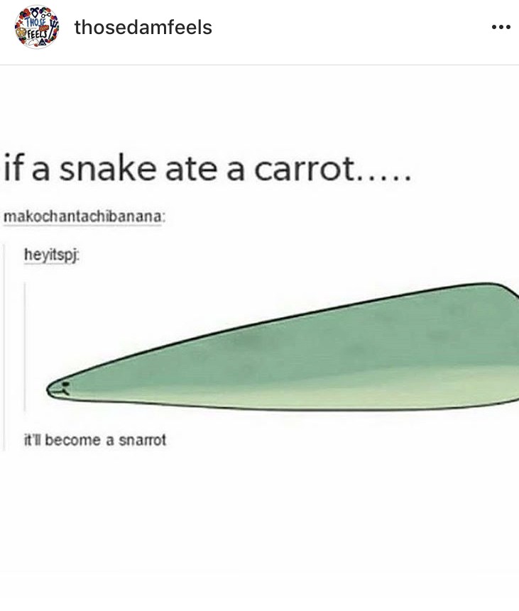 angle - thosedamfeels if a snake ate a carrot..... makochantachibanana heyitspj it'll become a snarrot