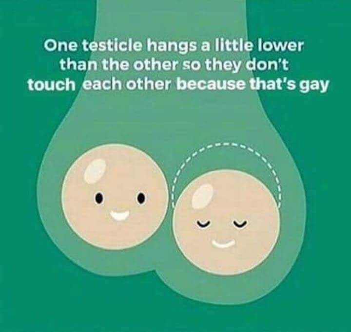 miss me with that gay shit balls - One testicle hangs a little lower than the other so they don't touch each other because that's gay